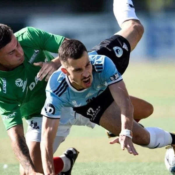 Vekic the hero as Sharks denied victory