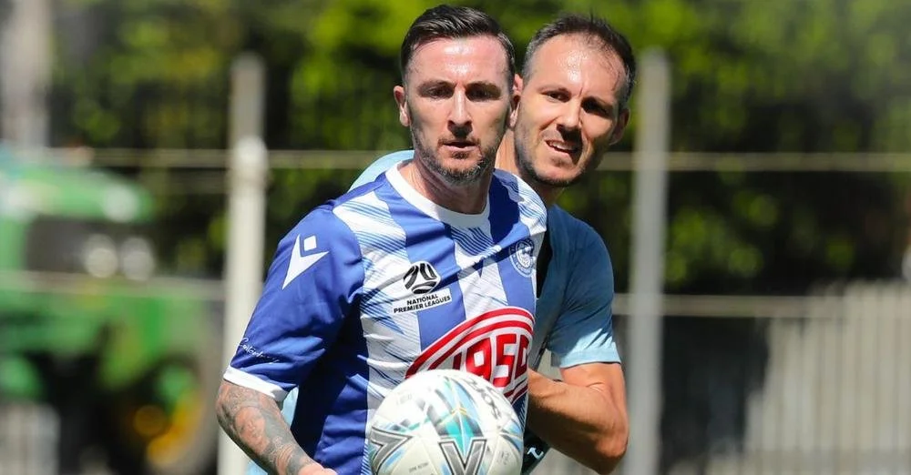 Olympic clinical as Sharks rue missed chances