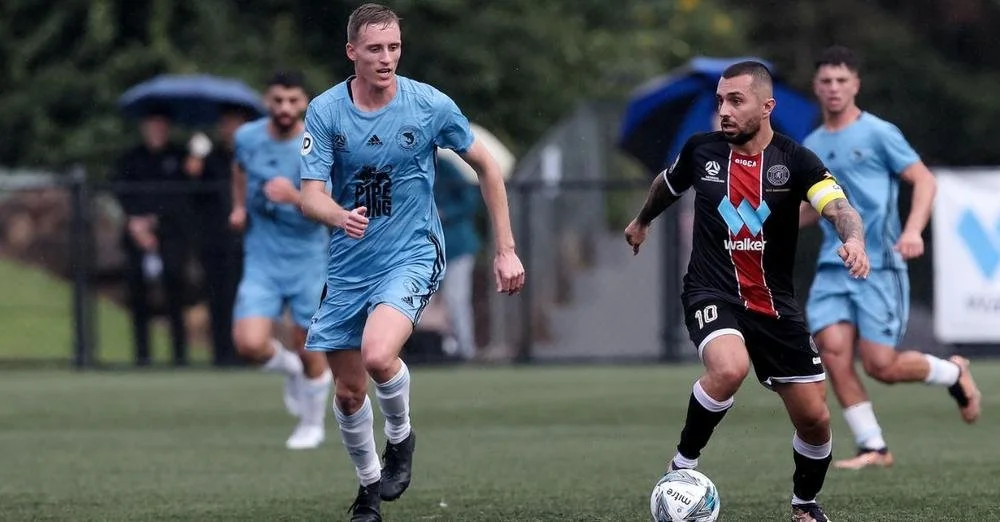 Blacktown City grab points in tough encounter against the Sharks