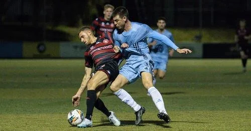 Hungry Sharks feast on young Wanderers