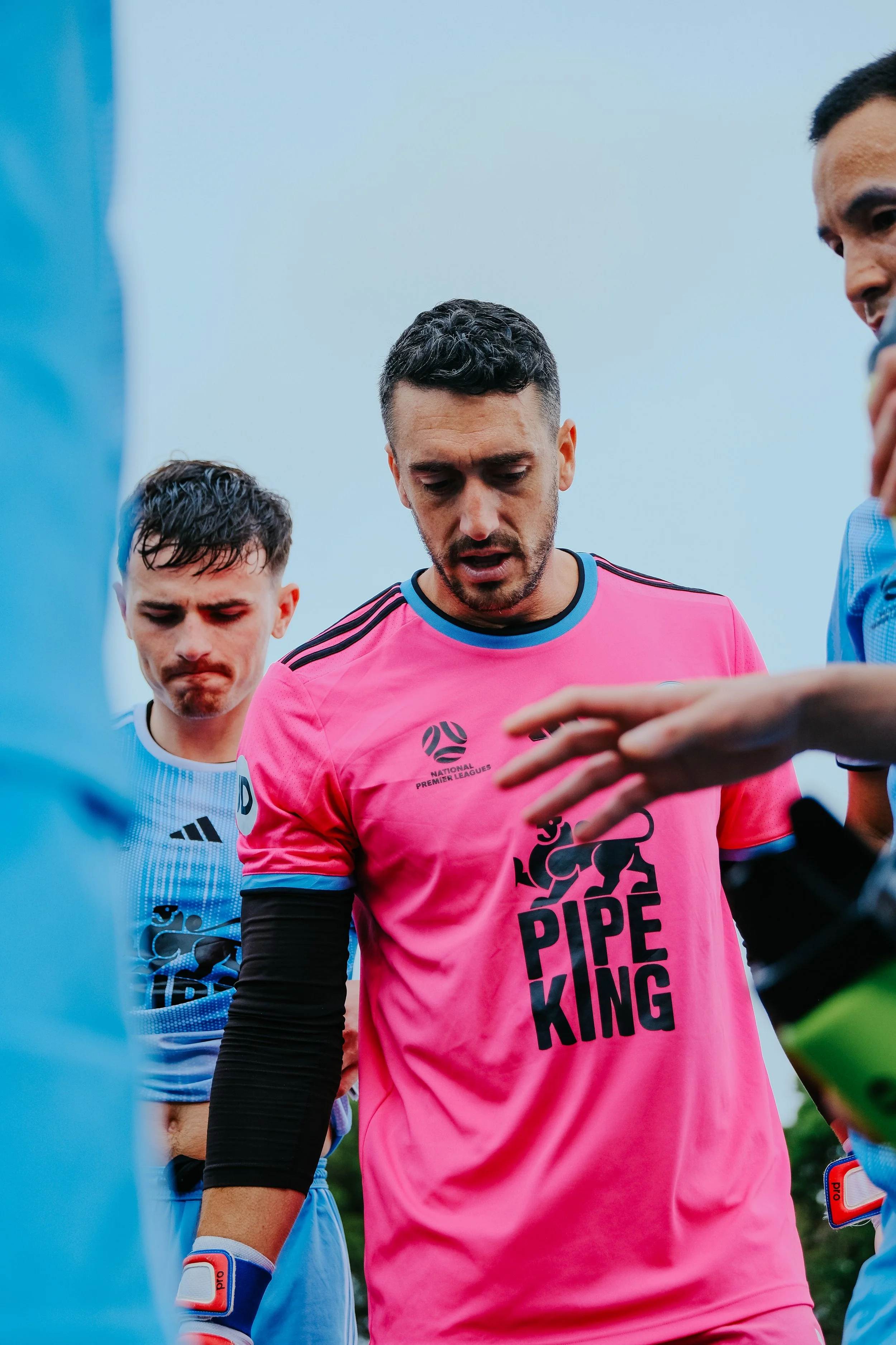 Sharks Bring Marconi Stallions Back Down to Earth