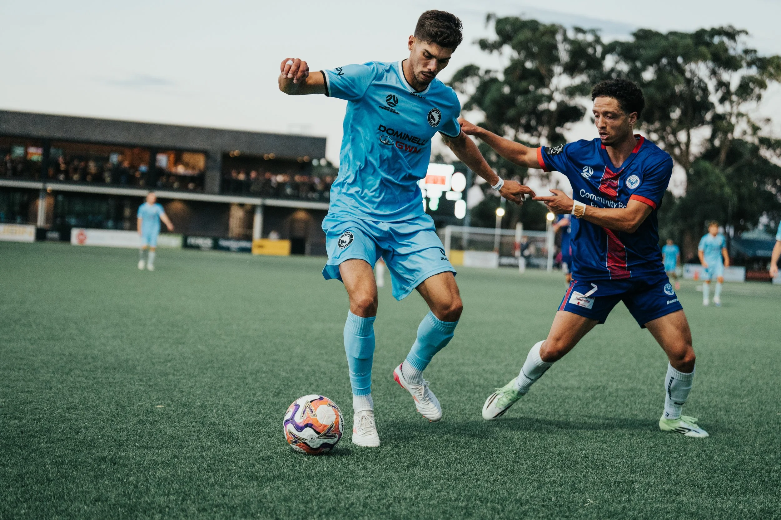 Hollingdale, Maia and Macdonald Fire US HOME IN Commanding Win