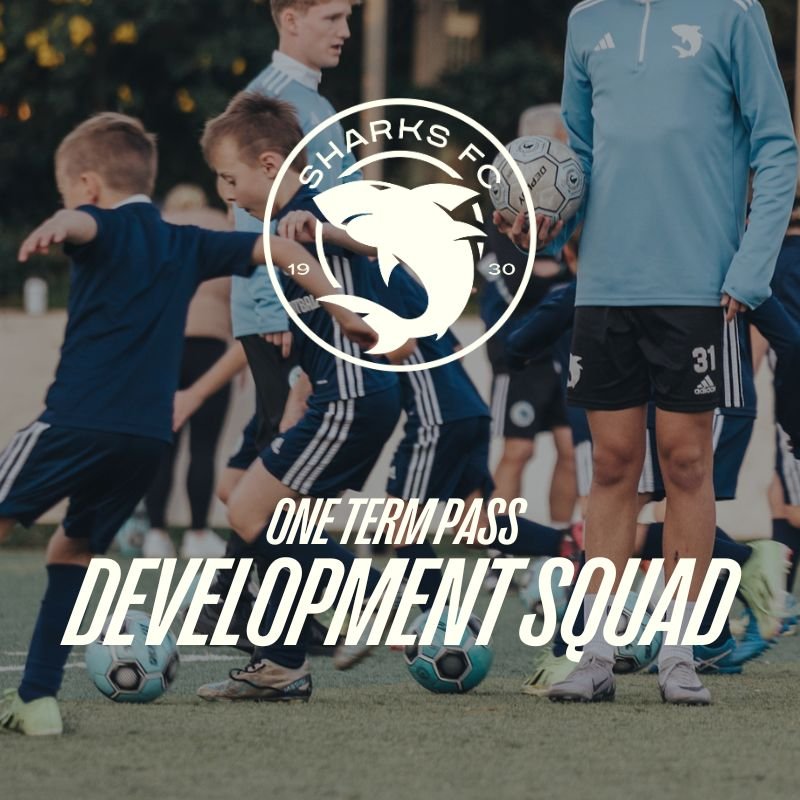 Development Squad.jpg