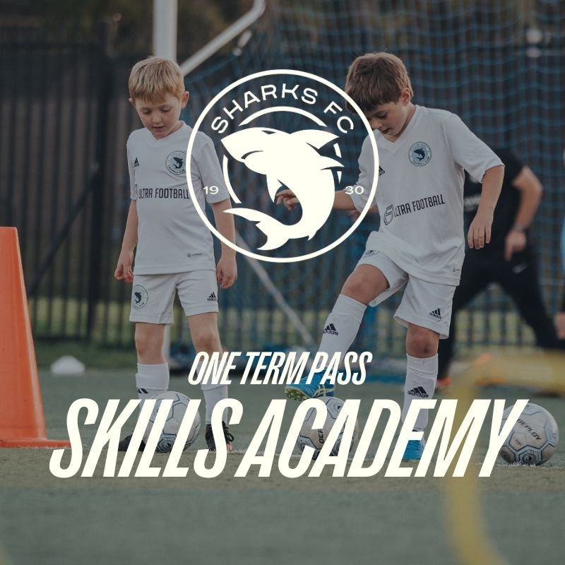 Skills Academy - Term 2