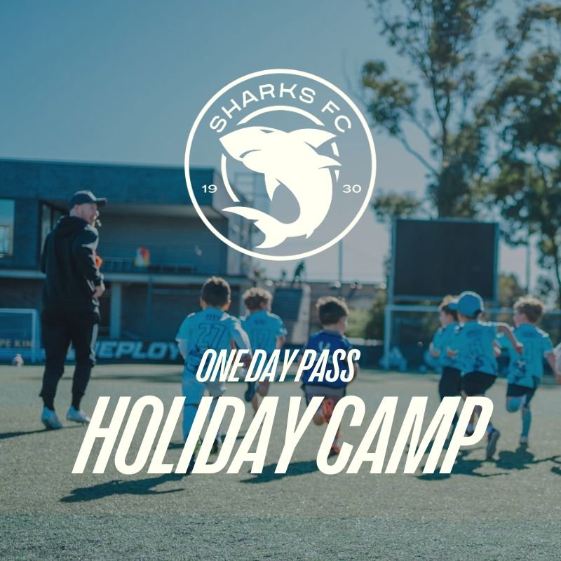 HOLIDAY CAMP.jpg