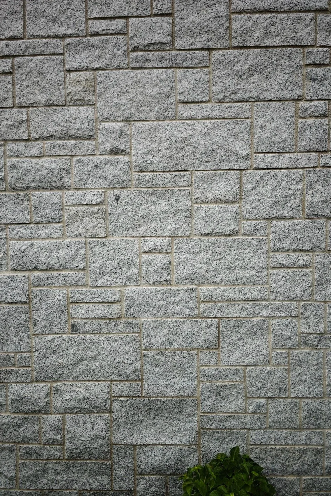 IMG20260529095022.jpg