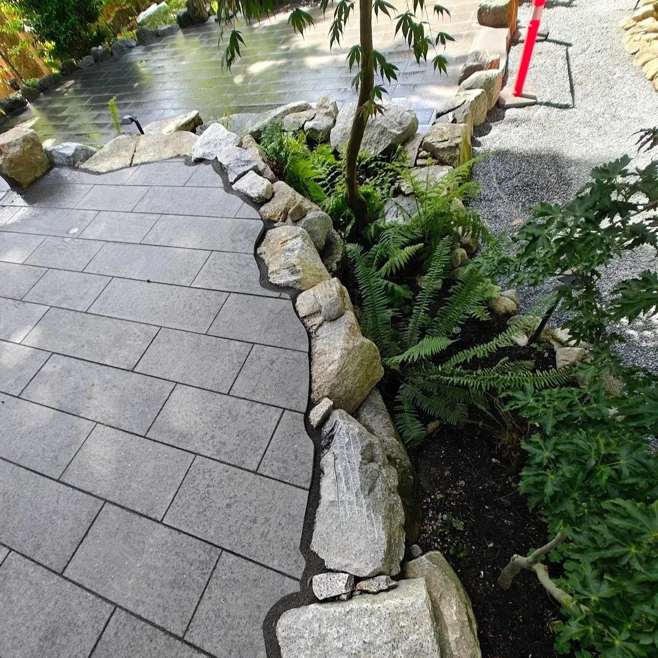 IMG20240605142925.jpg