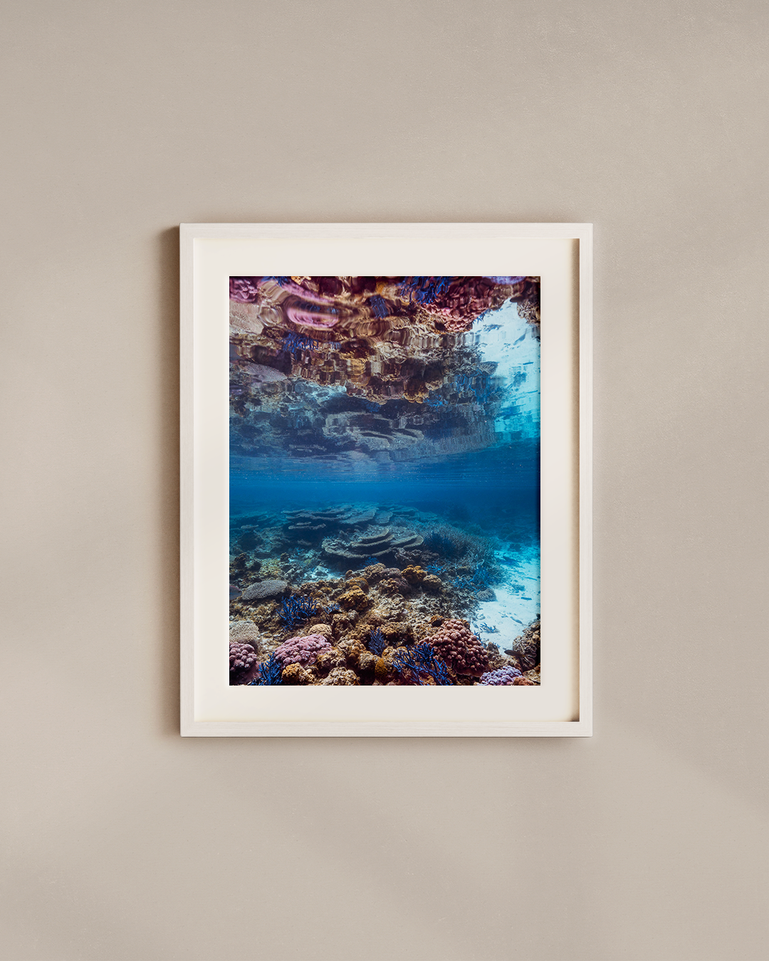 reeflections-white-frame.png