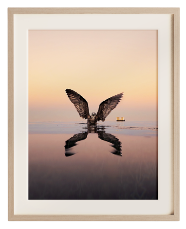 Framed seabird ocean photography print for coastal wall art