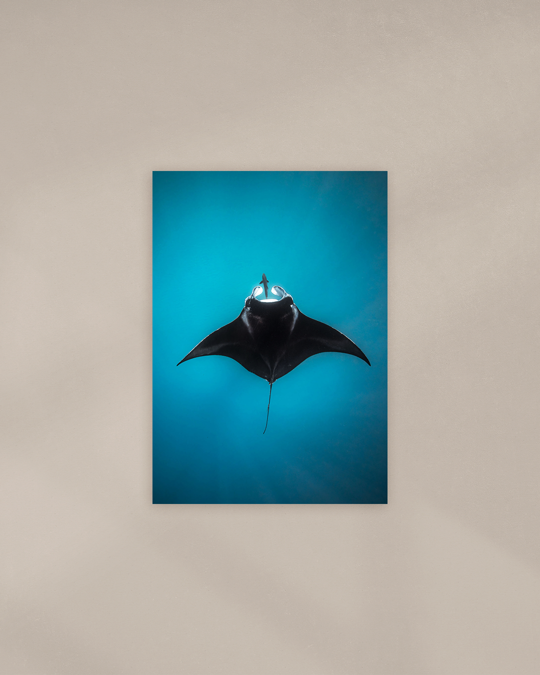 turpuoise-mantra-print.png