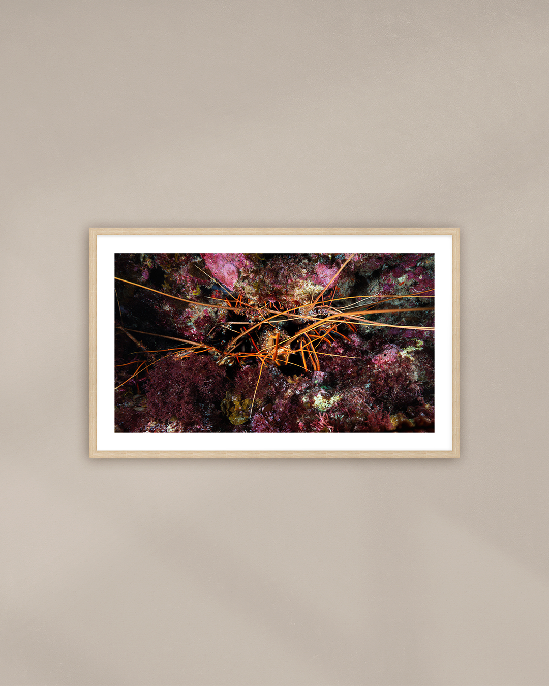 lobster-rave-cave-wood.png