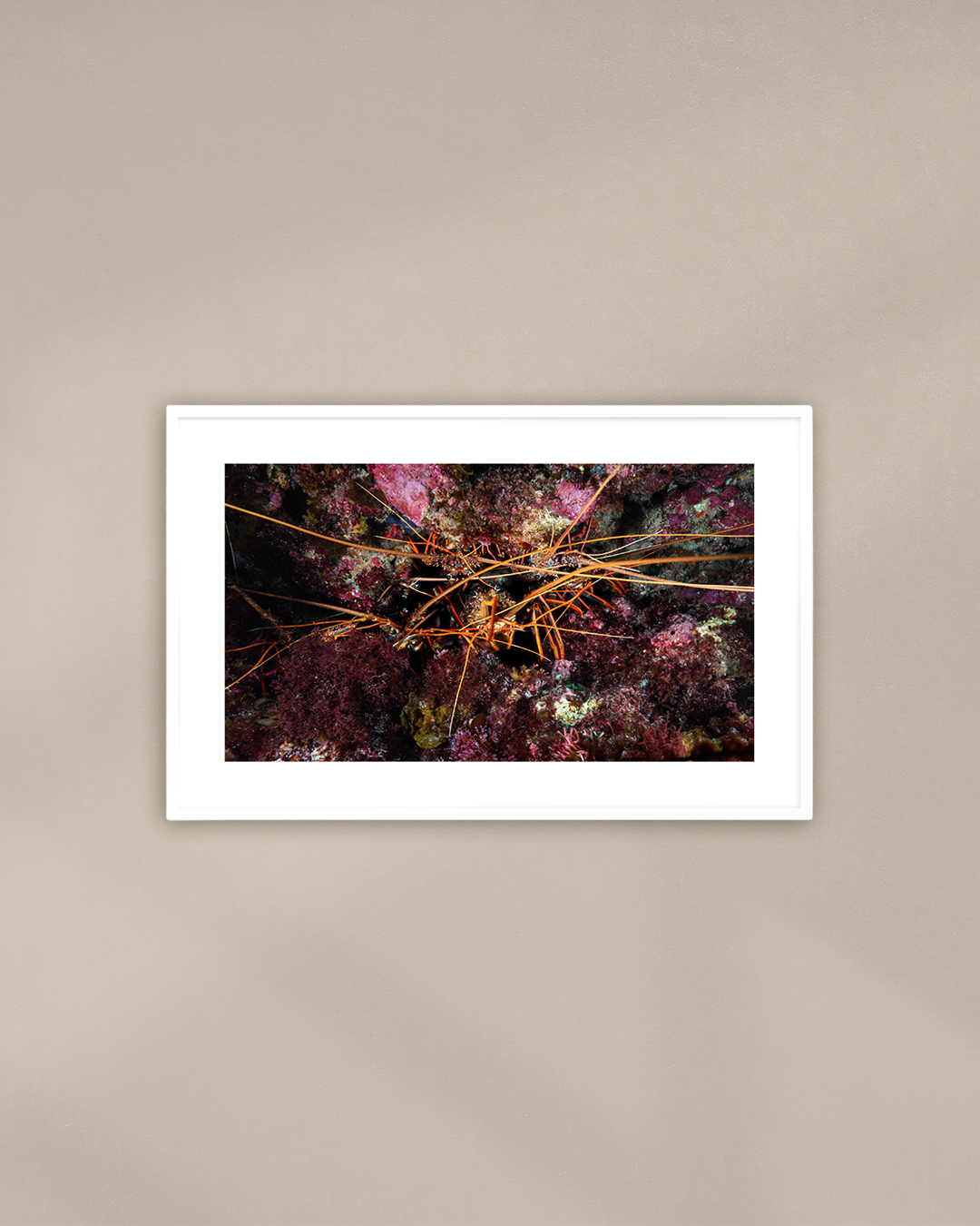 lobster-rave-cave-white.png