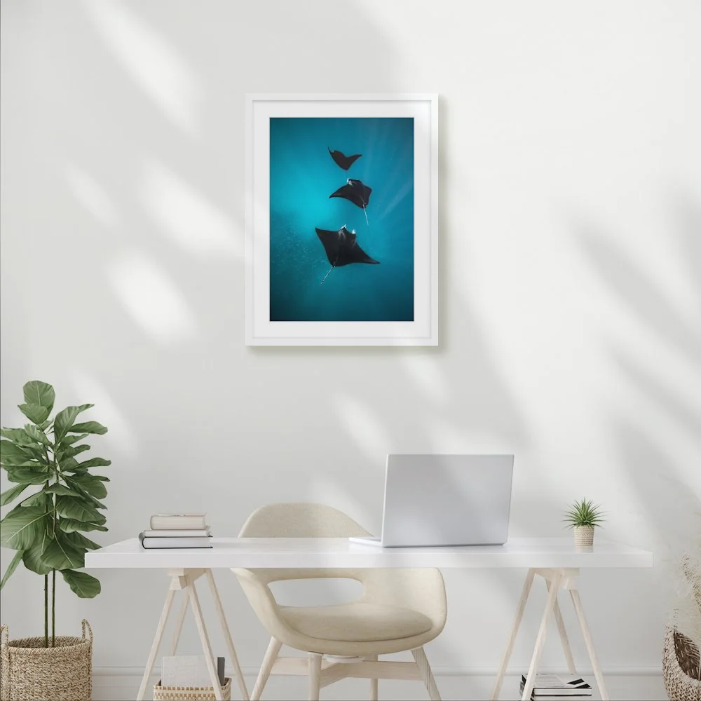 manta-chain_420-x-594mm-a2_50mm_lennon-skinny_interior-office.jpg