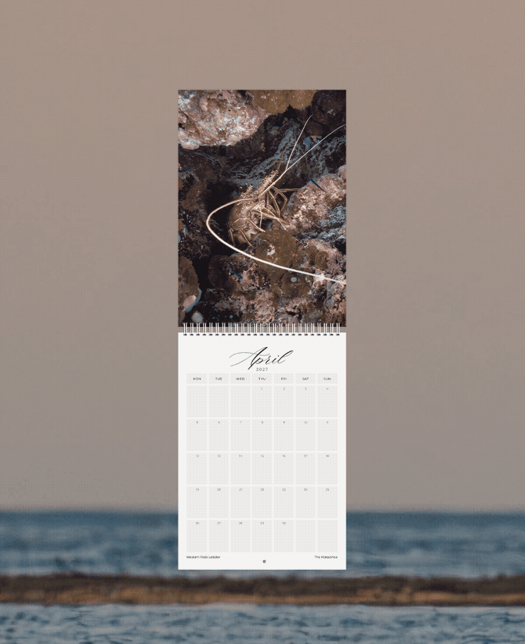 Abrolhos Islands 2027 wall calendar of ocean and wildlife photography