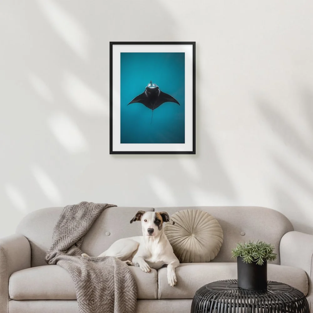 turquoise-manta_420-x-594mm-a2_50mm_zeppelin-skinny_interior-dog-on-sofa.jpg