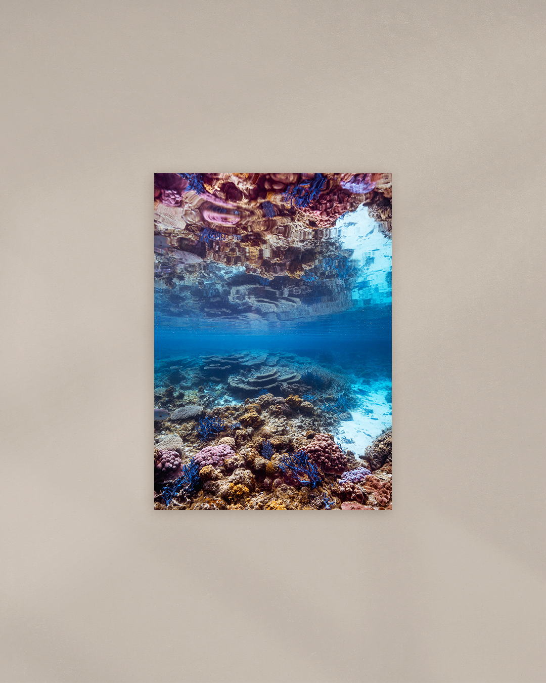 reeflections-print.png