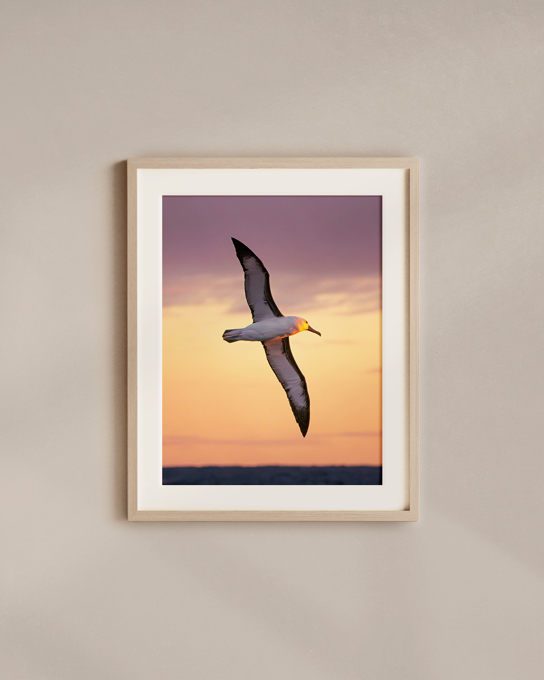 first-light-flight-wood.png