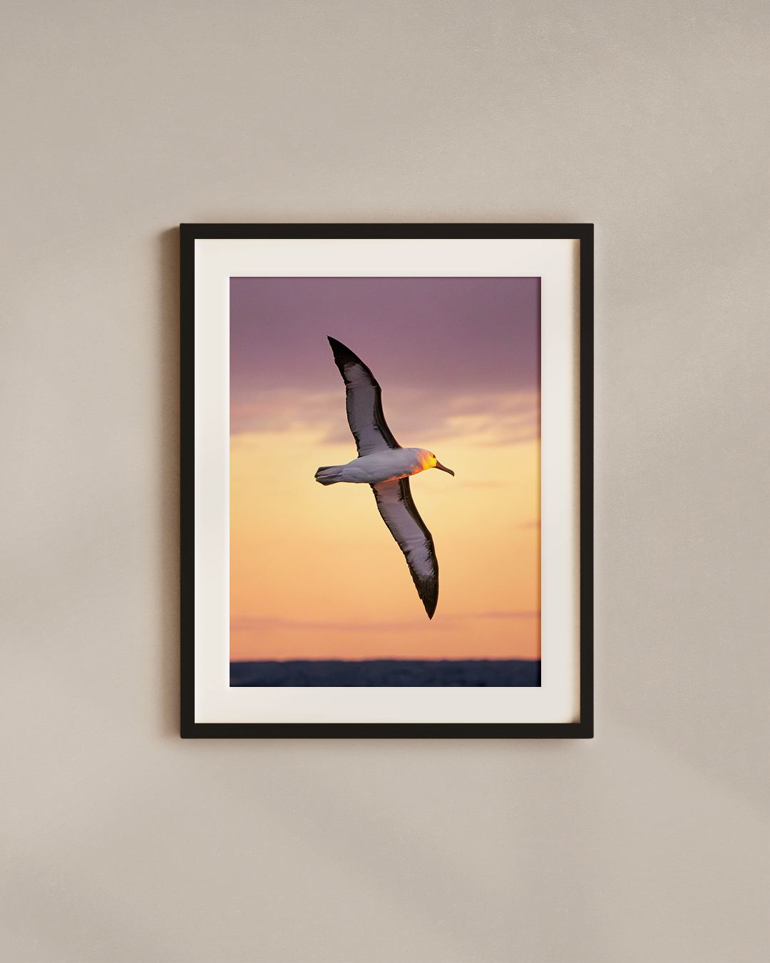 first-light-flight-black.png