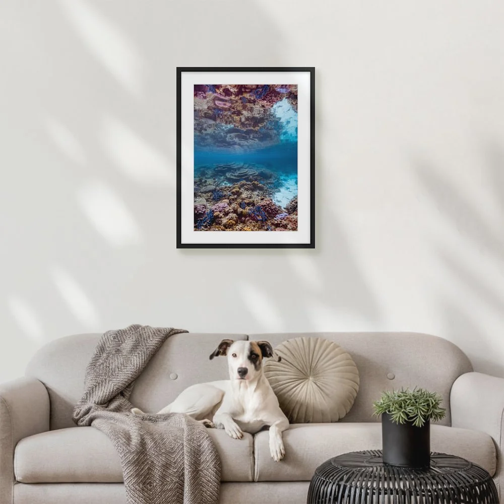 reeflections_420-x-594mm-a2_50mm_zeppelin-skinny_interior-dog-on-sofa.jpg