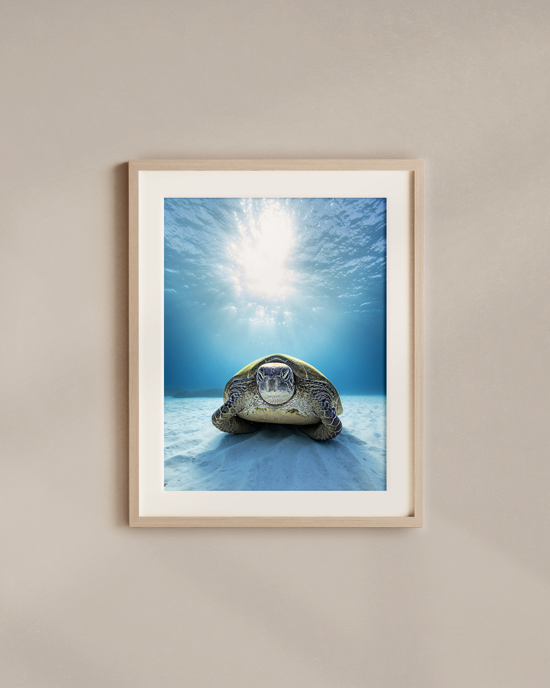 grumpy-turtle-wood.png