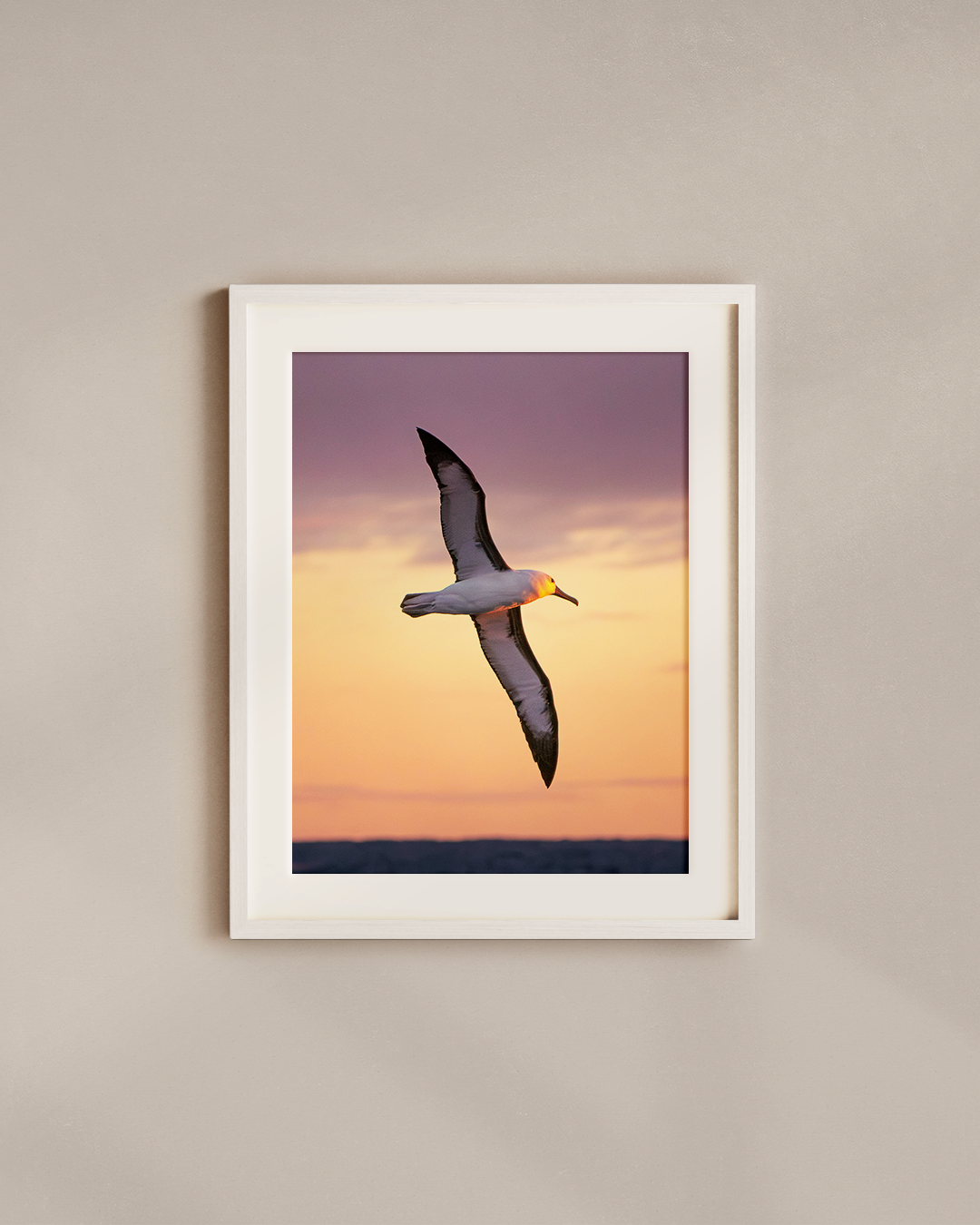 first-light-flight-white.png
