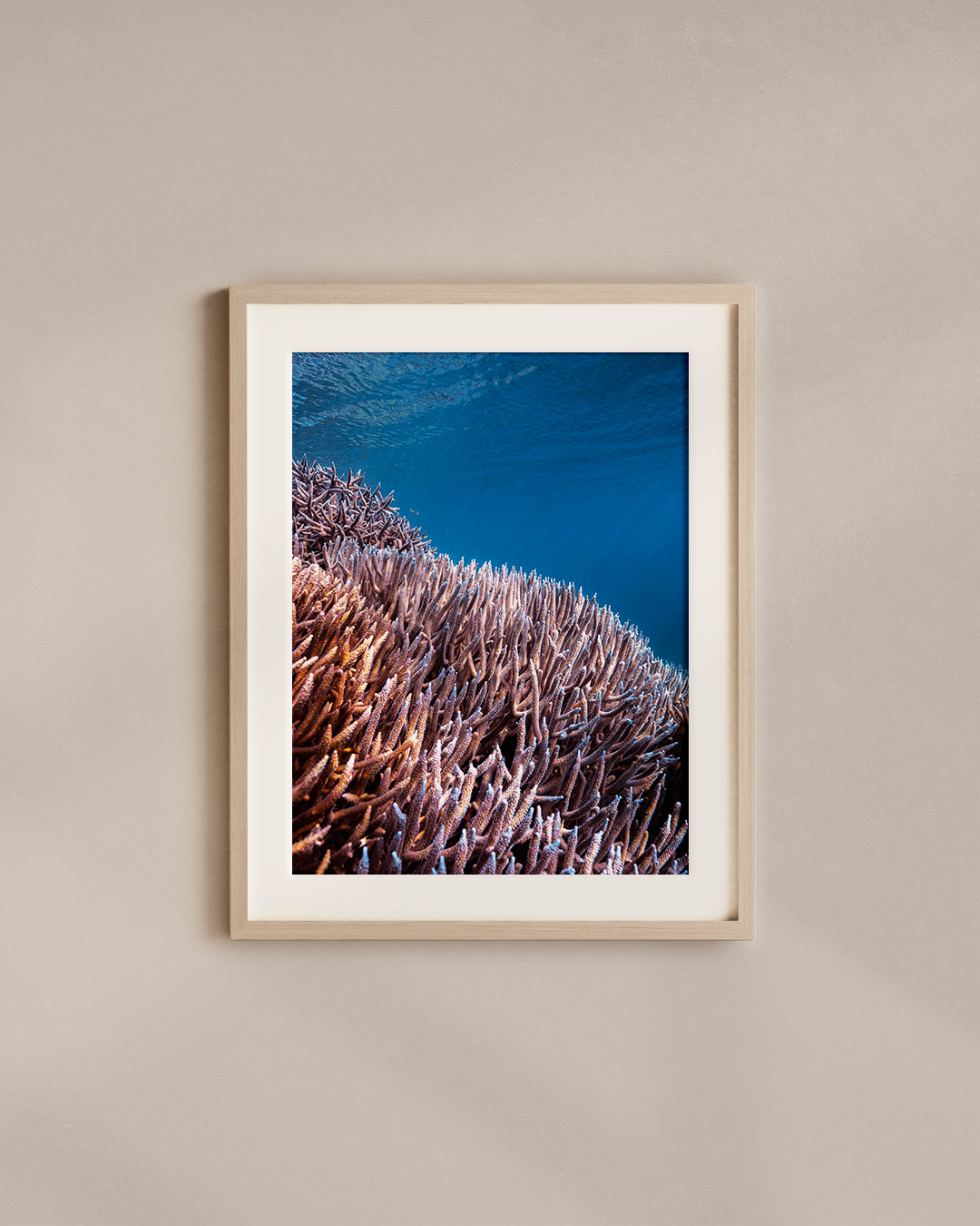 coral-patches-wood.png