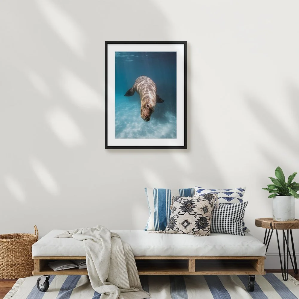 bombastic-side-eye_420-x-594mm-a2_50mm_zeppelin-slim_interior-lounge.jpg