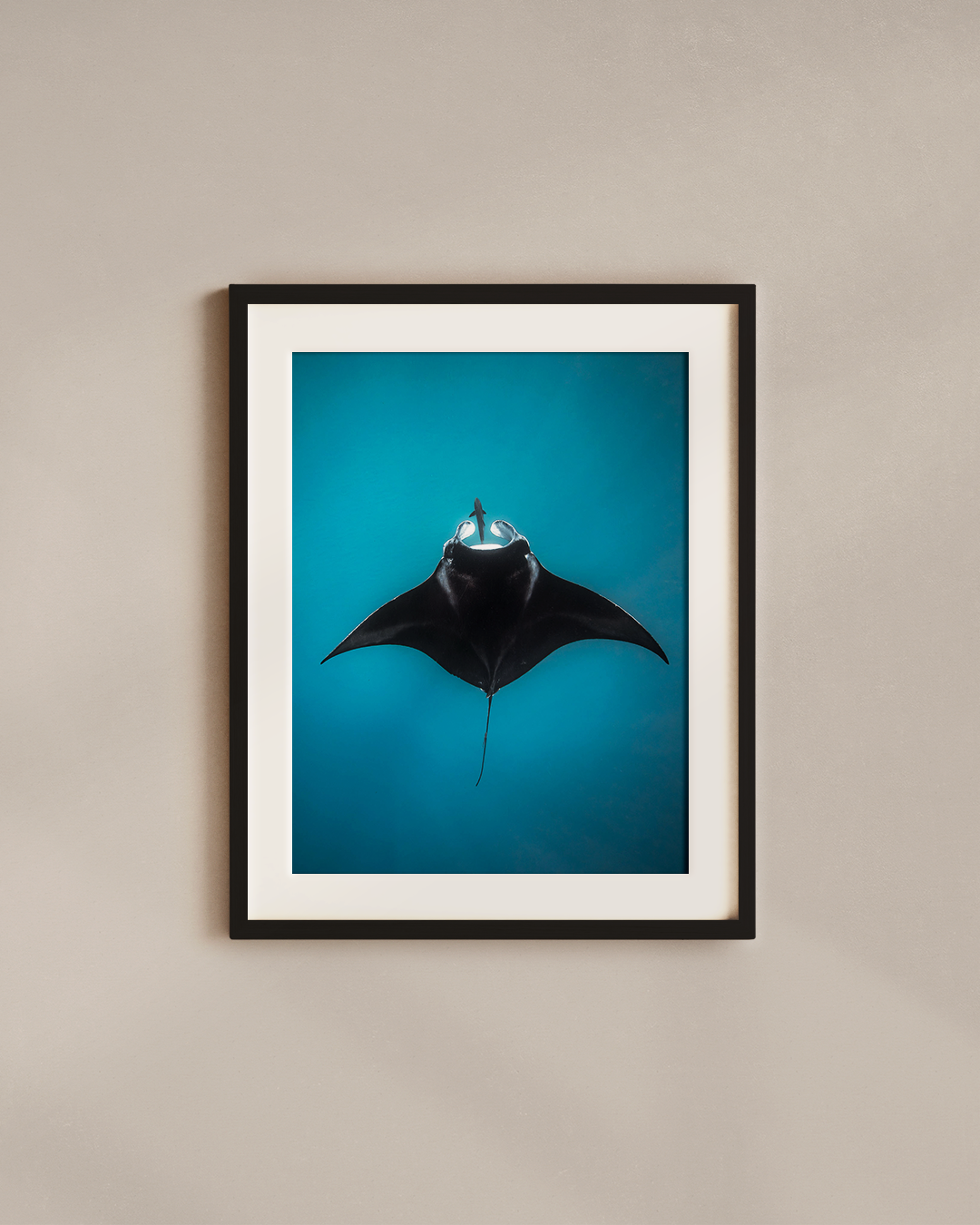 turpuoise-mantra-black.png
