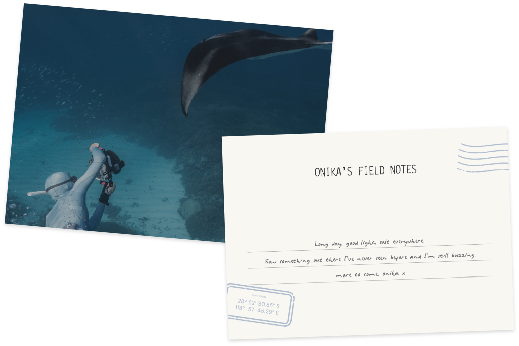 Ocean and wildlife photography from the Western Australia coast, Field Notes blog