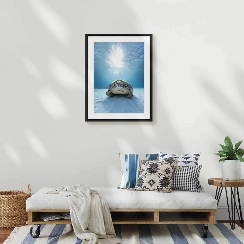 grumpy-turtle_420-x-594mm-a2_50mm_zeppelin-skinny_interior-lounge.jpg