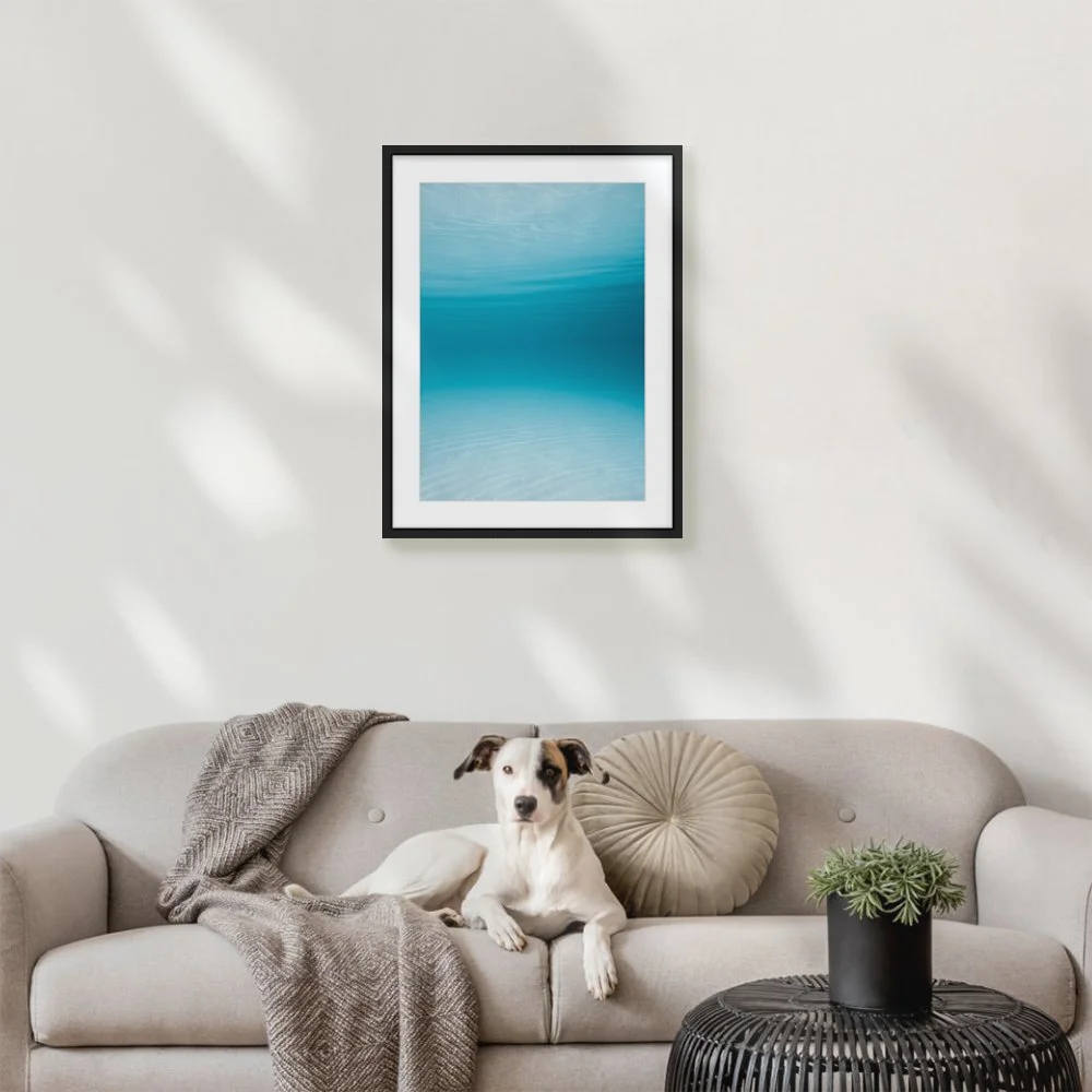 calm-day_420-x-594mm-a2_50mm_zeppelin-skinny_interior-dog-on-sofa.jpg