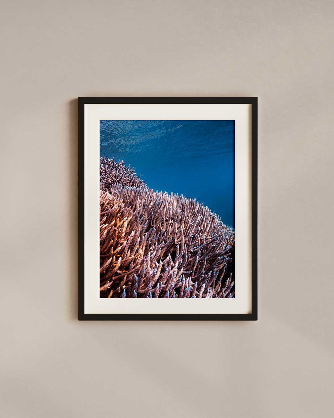coral-patches-black.png