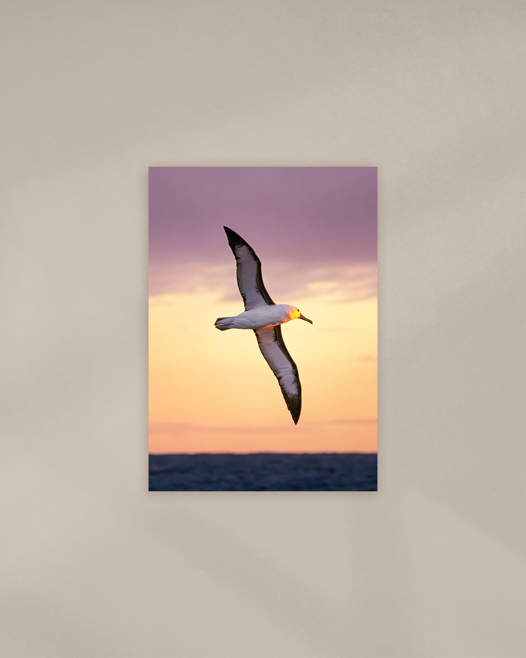 first-light-flight-print.png