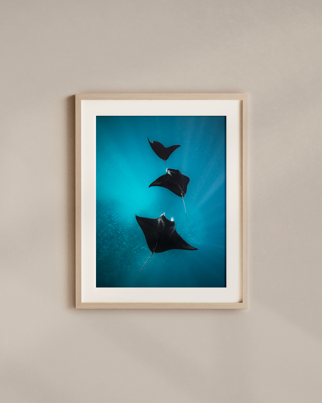 manta-chain-wood.png
