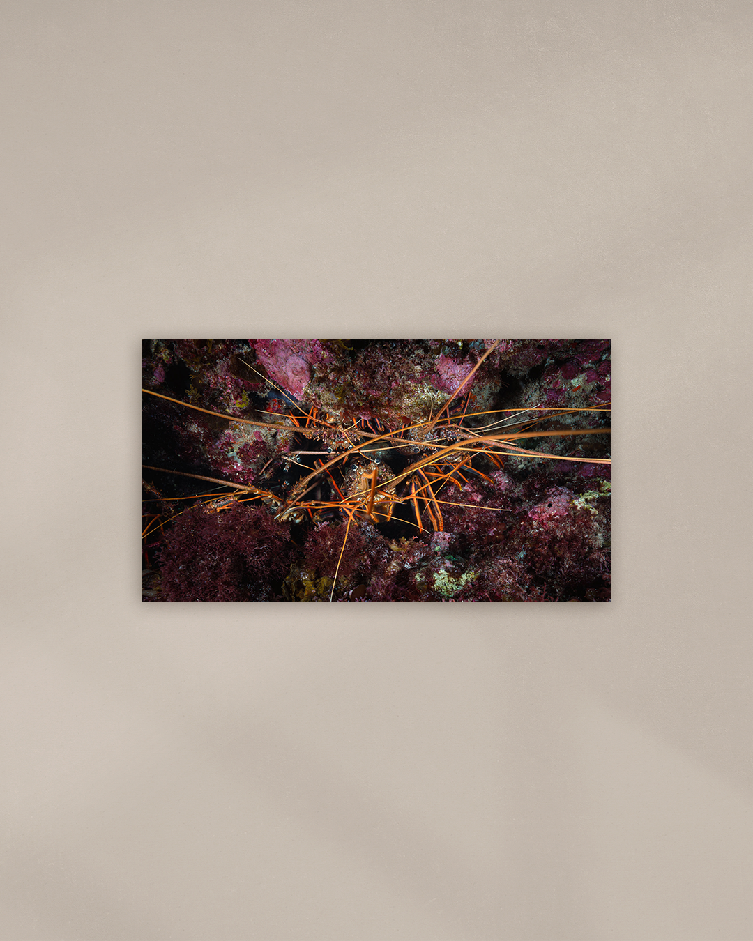 lobster-rave-cave-print.png