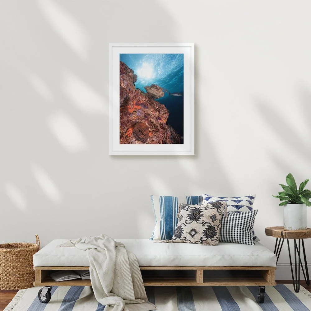 soft-corals_420-x-594mm-a2_50mm_lennon-skinny_interior-lounge.jpg