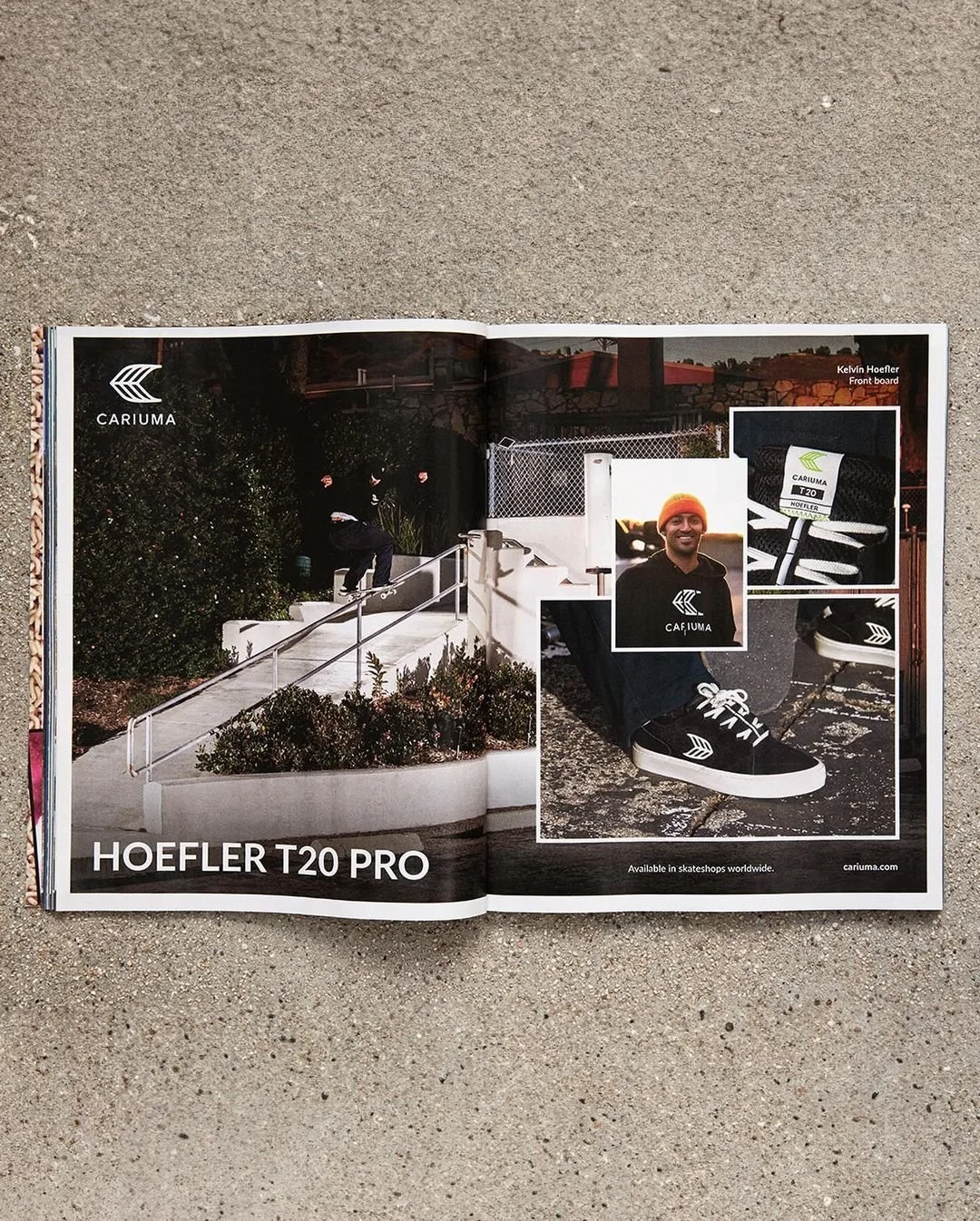 Prints, Catalogues and Pop ups