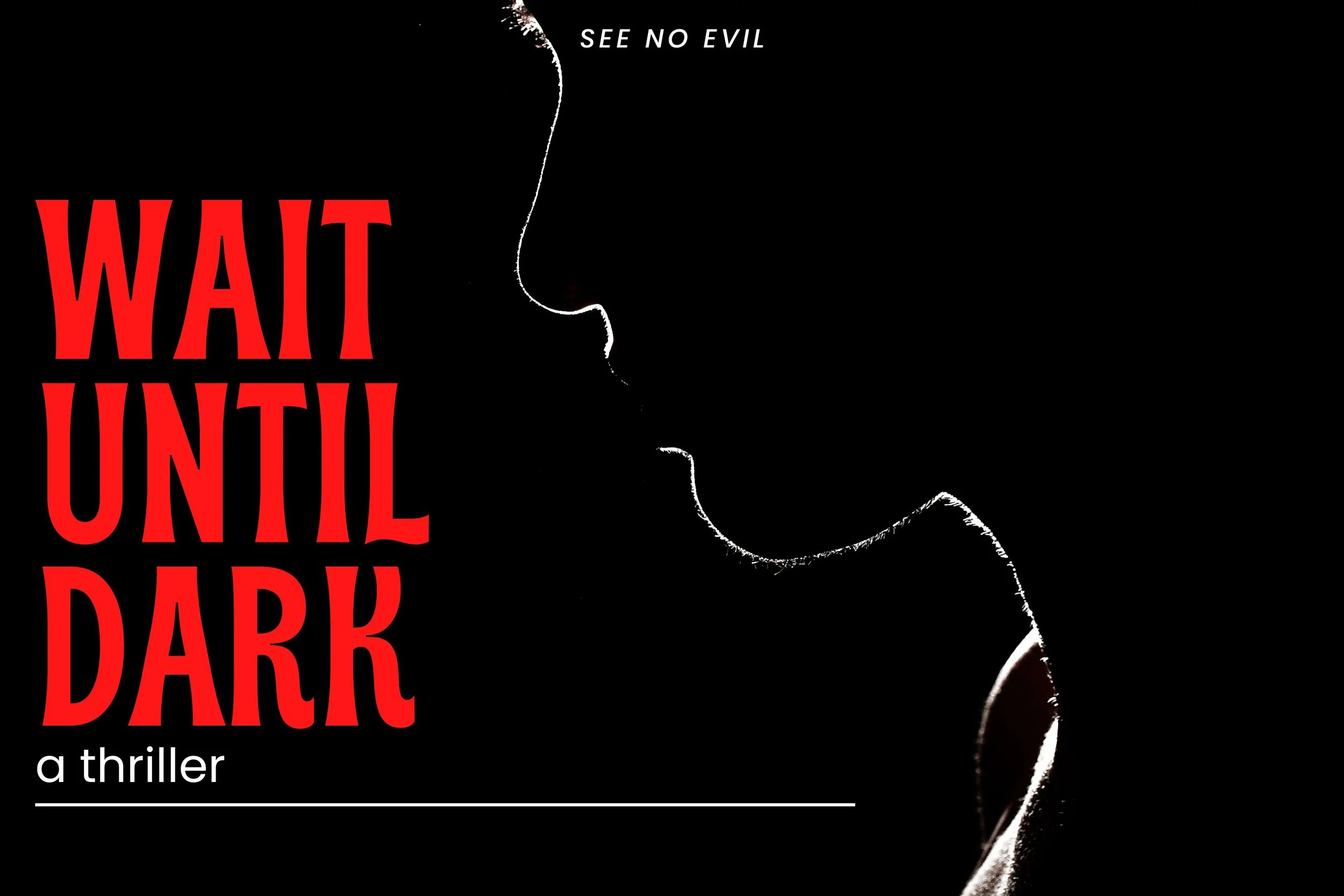 wait until dark.jpg