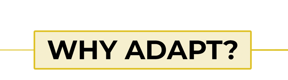 Why Adapt — Adapt Fitness