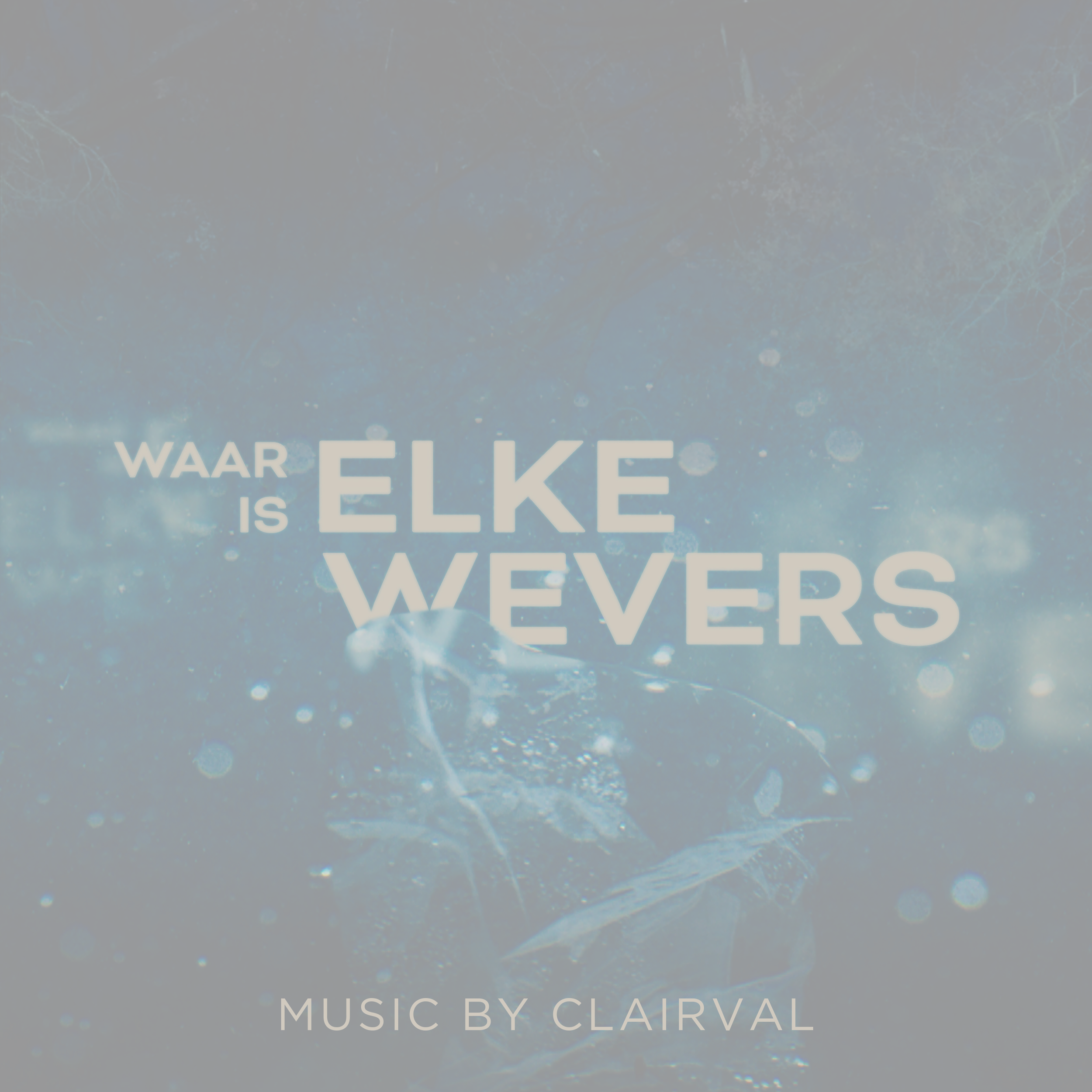 Waar is Elke Wevers OST kopie.png