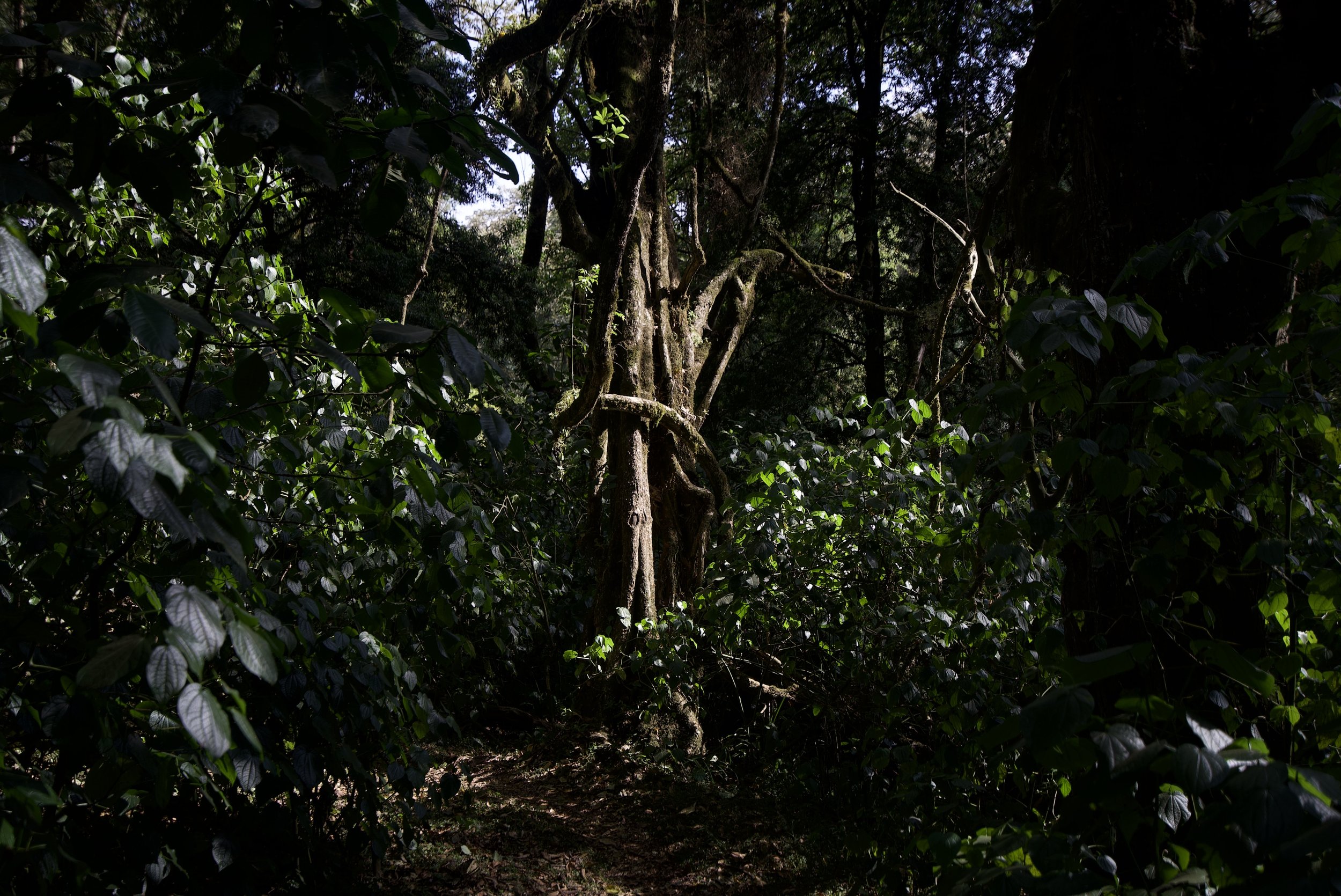 DSC02855.jpeg