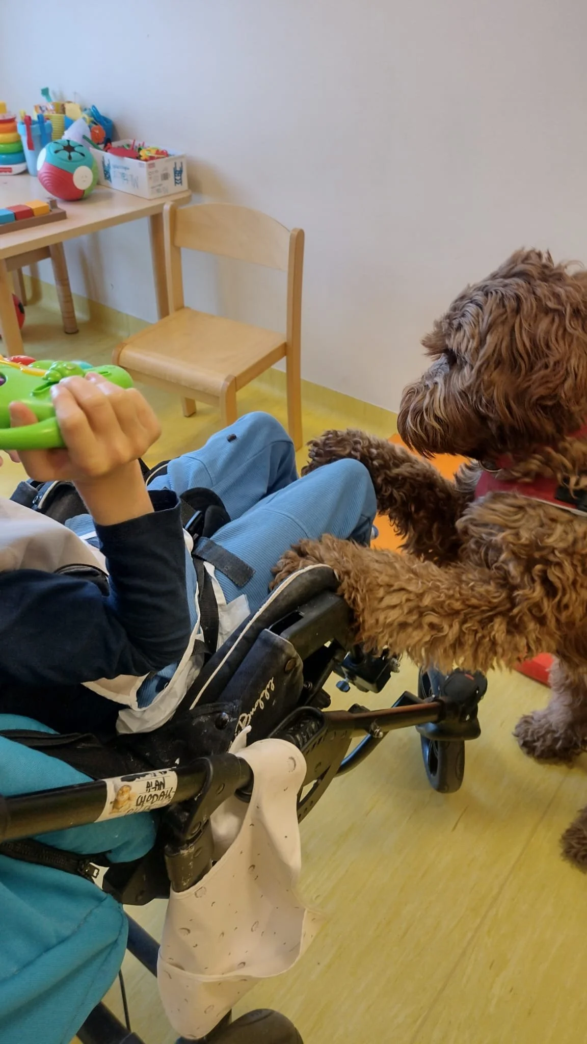 WhatsApp Image 2026-02-09 at 18.56.35.jpeg