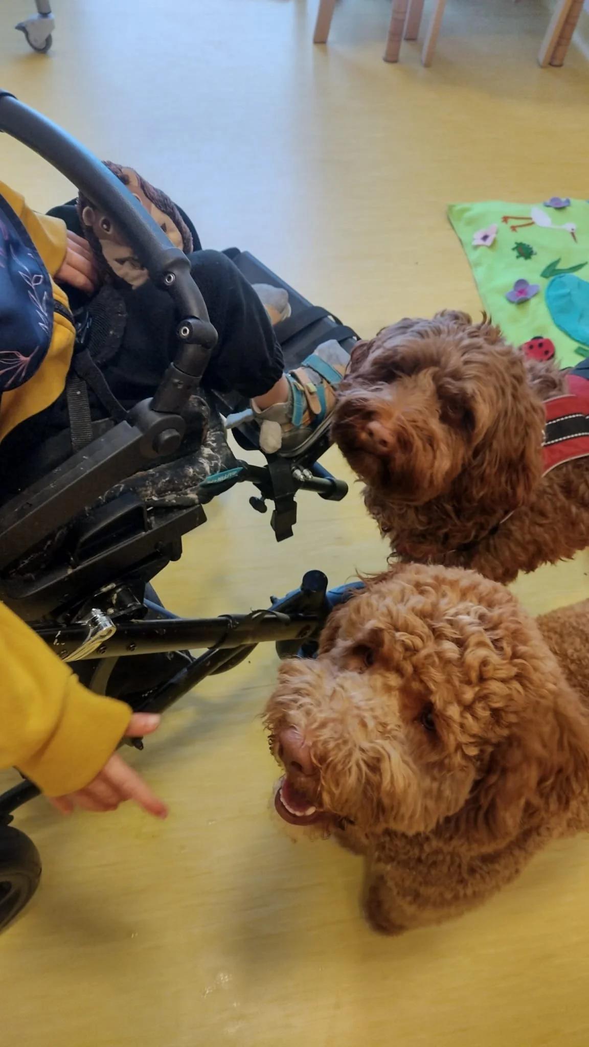 WhatsApp Image 2026-02-09 at 18.56.35 (2).jpeg