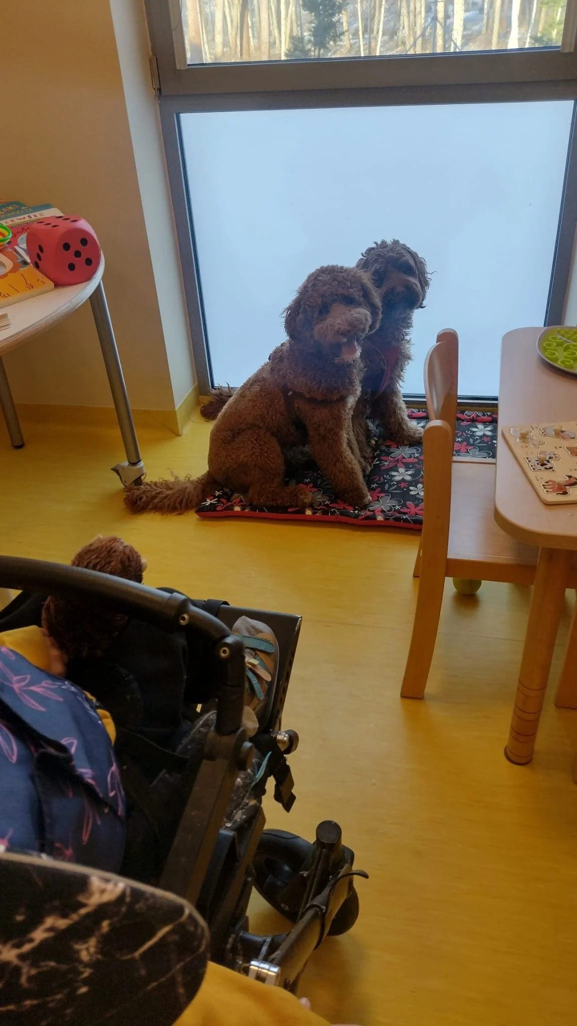 WhatsApp Image 2026-02-09 at 18.56.35 (1).jpeg