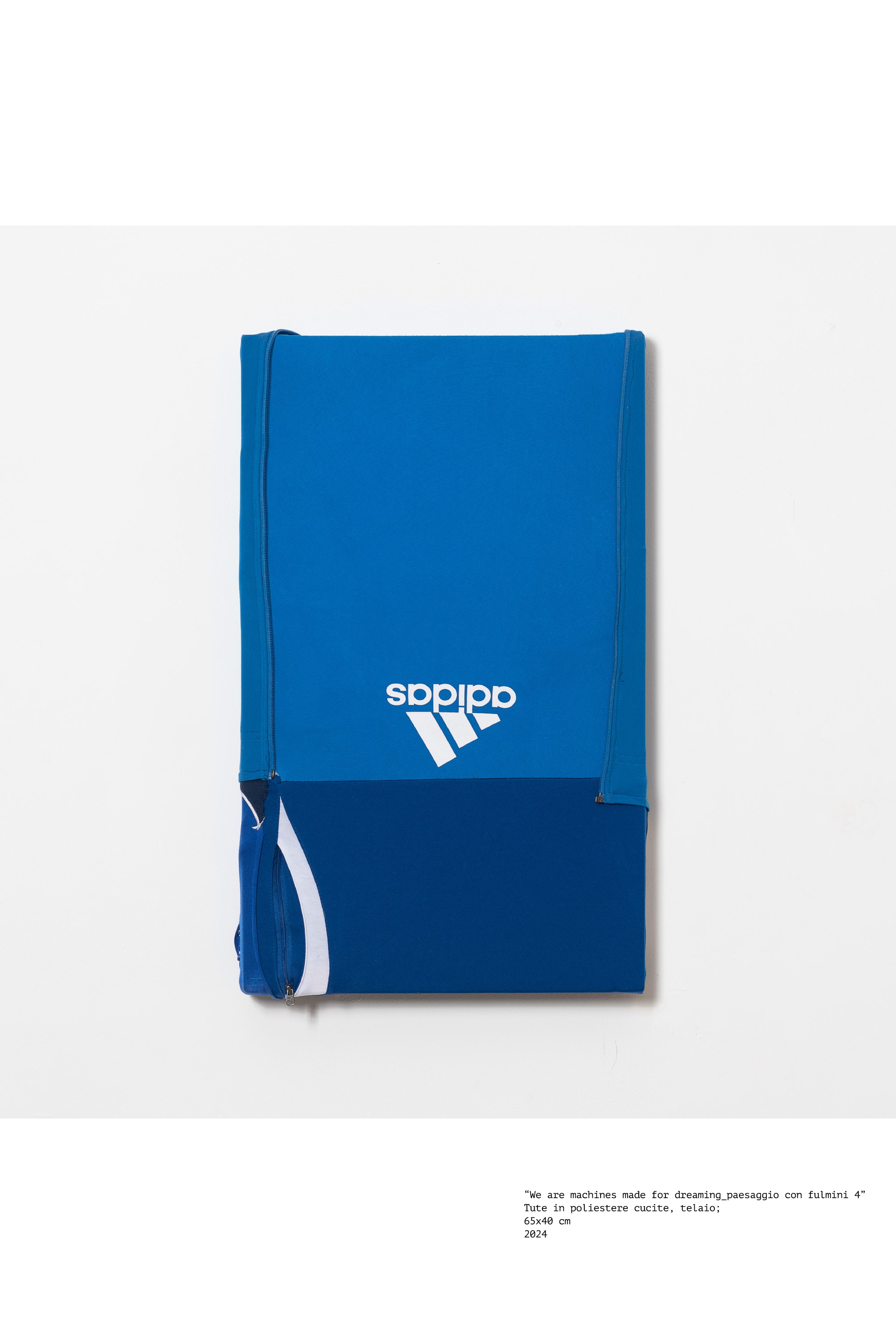 file copia2 (1).jpg