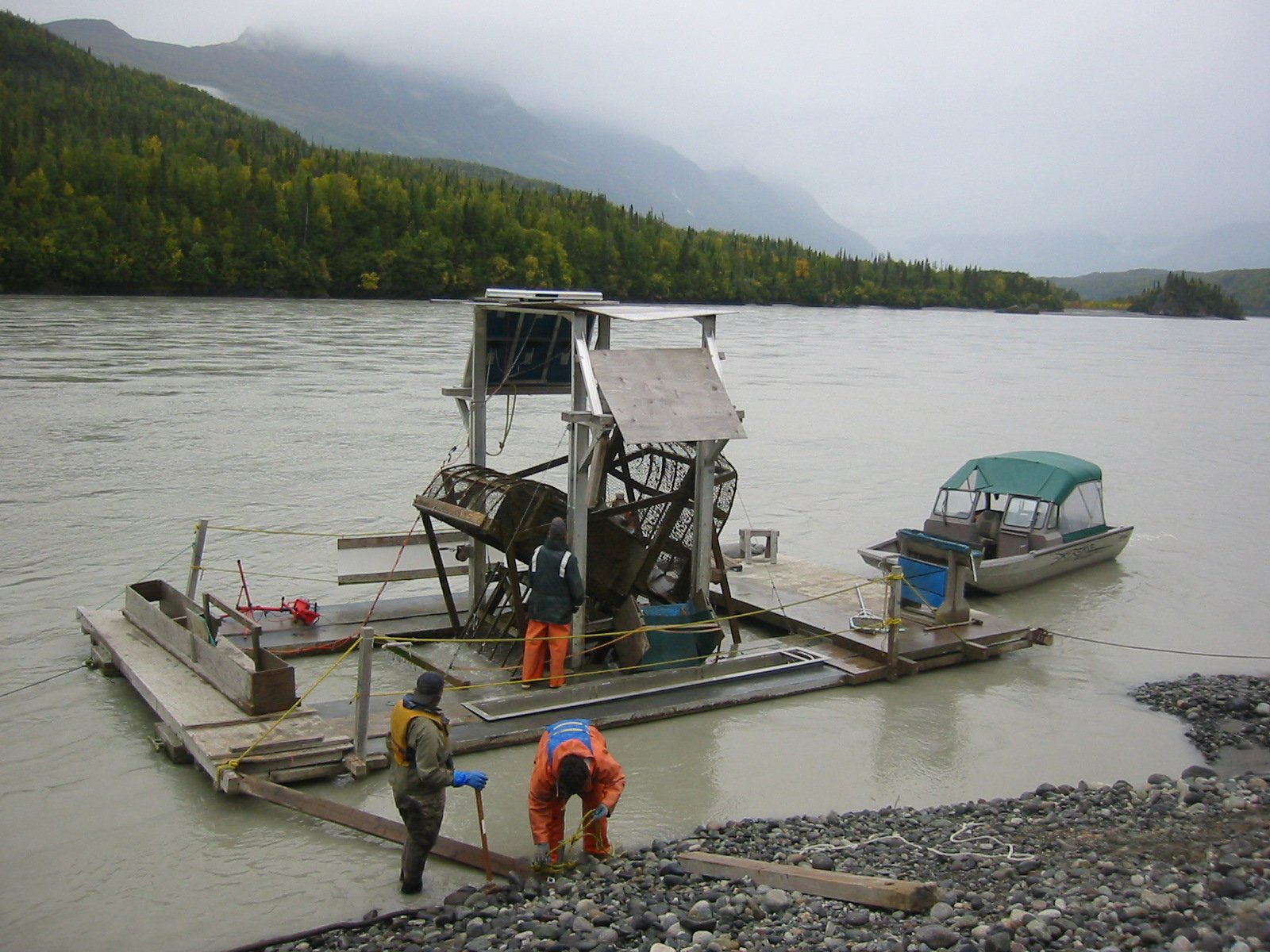 Who gets Copper River Chinook? 