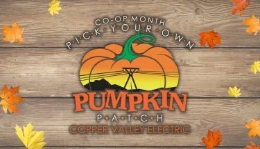 CVEA Annual Pumpkin Patch - Food Bank Fundraiser