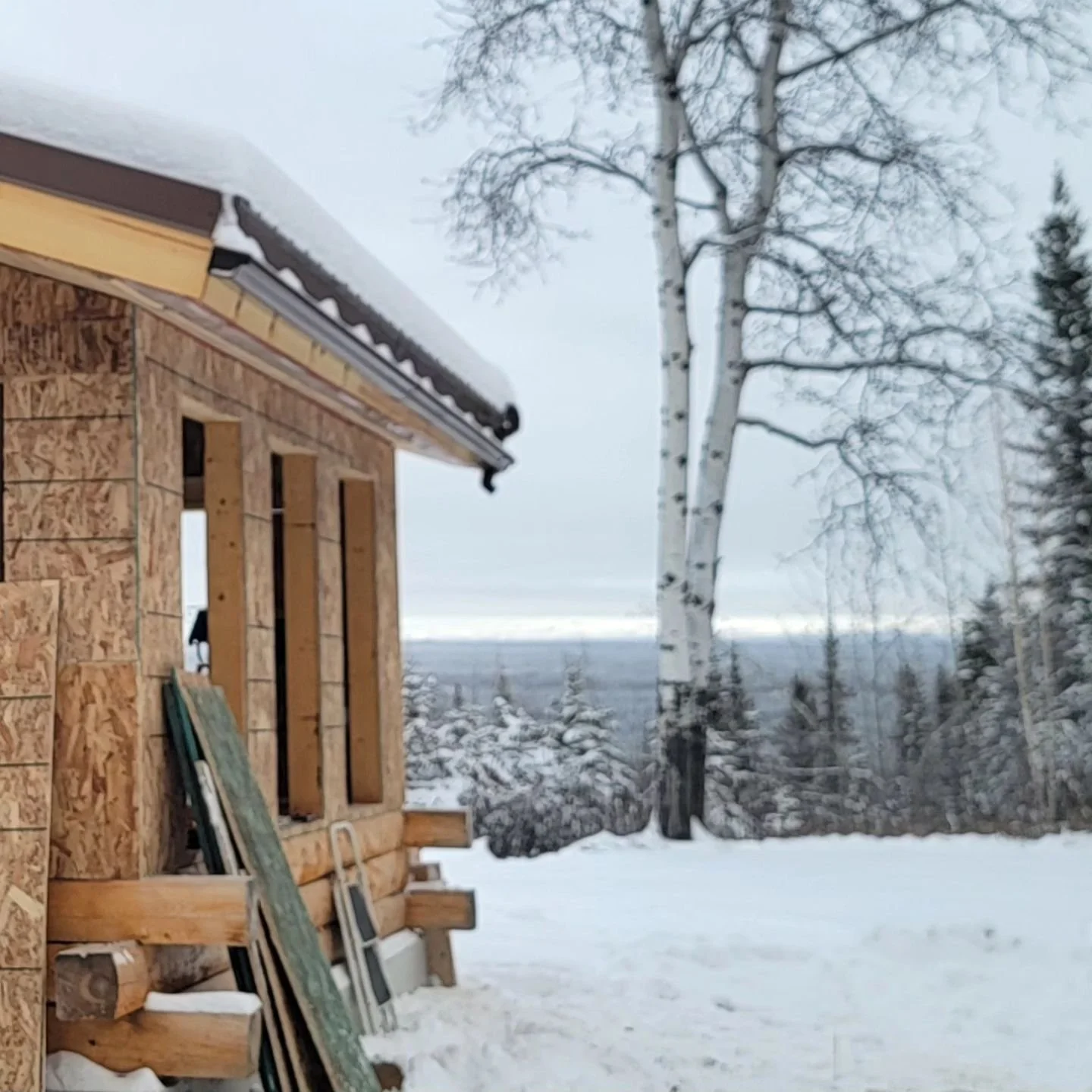 My family, my heart, and my home is here in the Copper River Valley. Building something from the ground up means the world, and owning it with no strings attached is truly a treasure. Alaska is diverse and I believe we should celebrate and respect al
