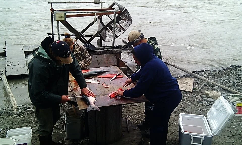 salmon fileting at the fishwheel.jpg