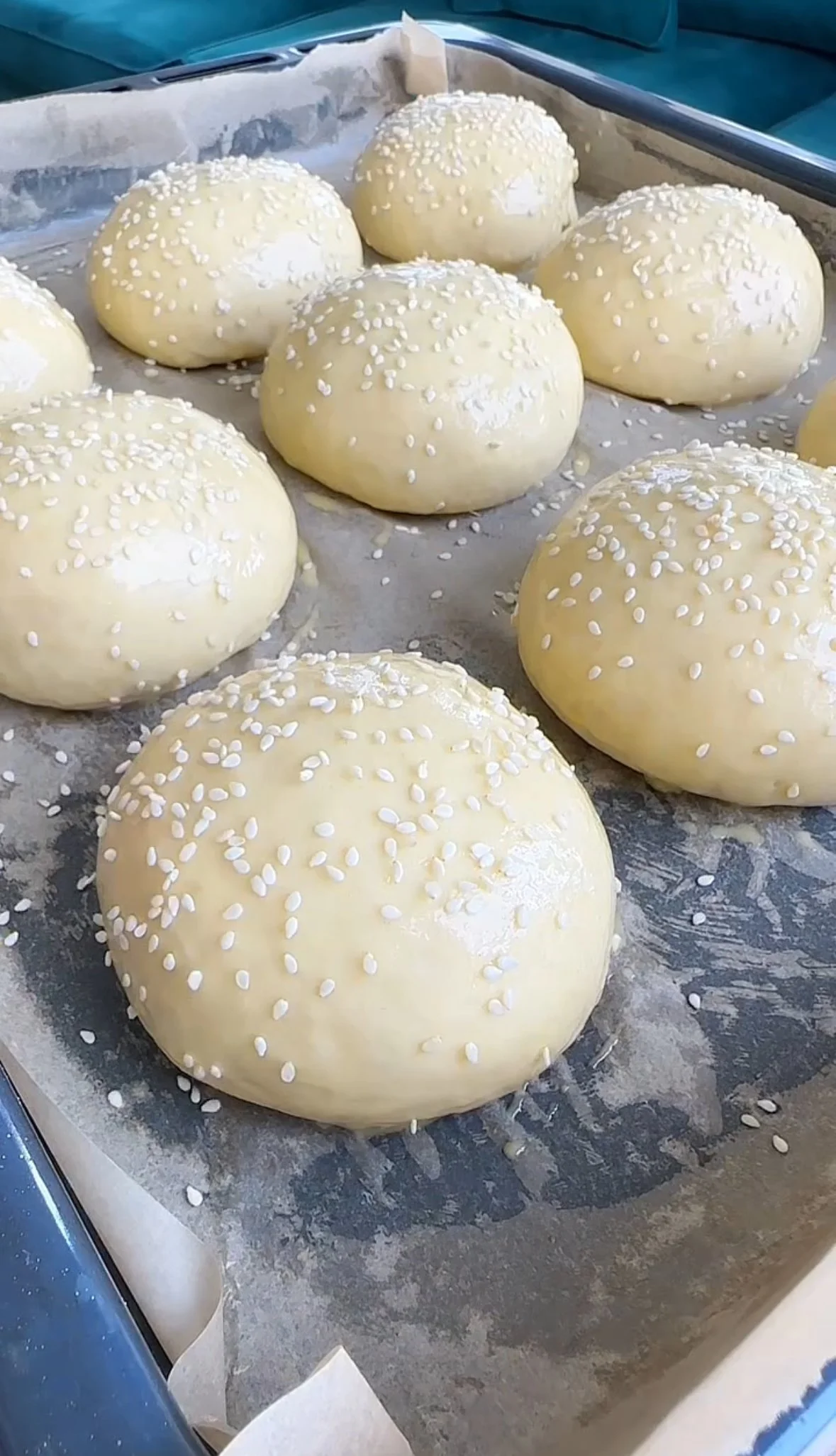 Unbaked bread rolls topped with pearl sugar on a baking sheet lined with parchment paper.